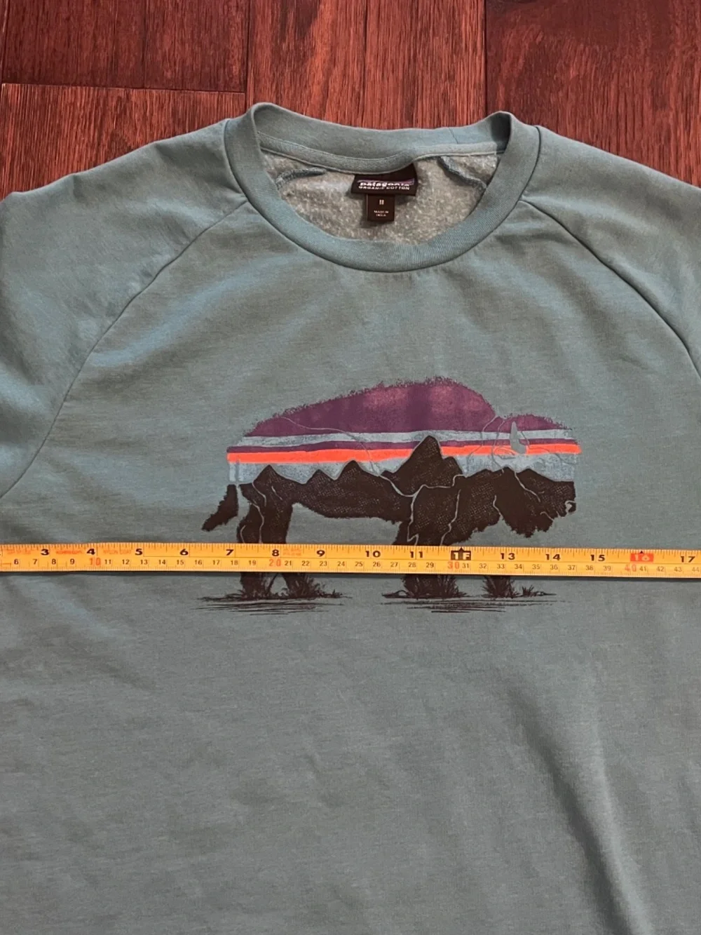 Patagonia good used
